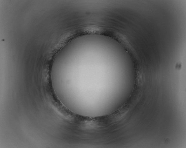 X0000111500259200907281258