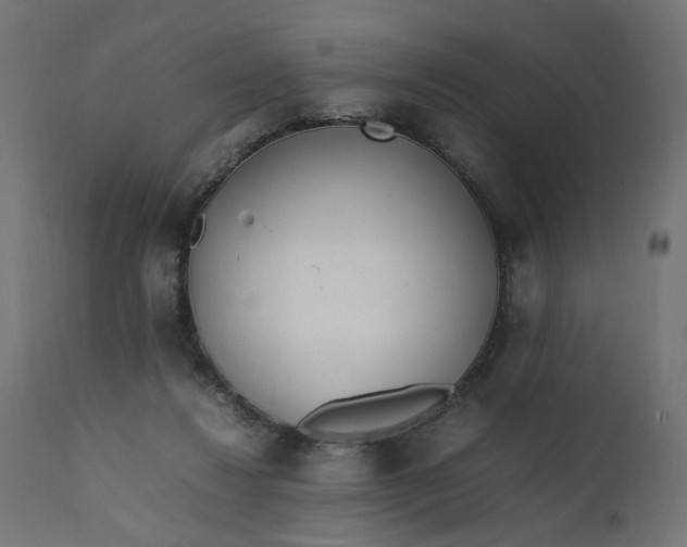 X0000111500260200907281258