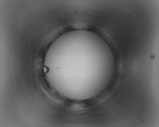 X0000111500263200907281258