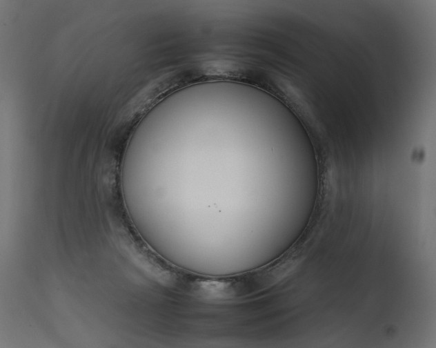 X0000111500265200907281258