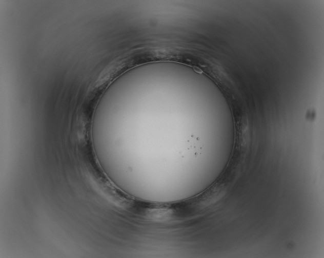 X0000111500266200907281258