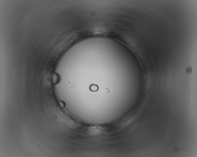 X0000111500269200907281258