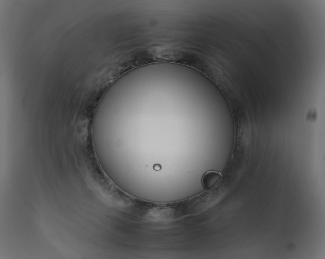 X0000111500271200907281258