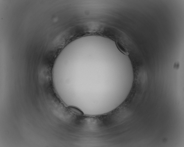 X0000111500272200907281258