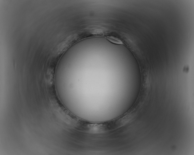 X0000111500273200907281258