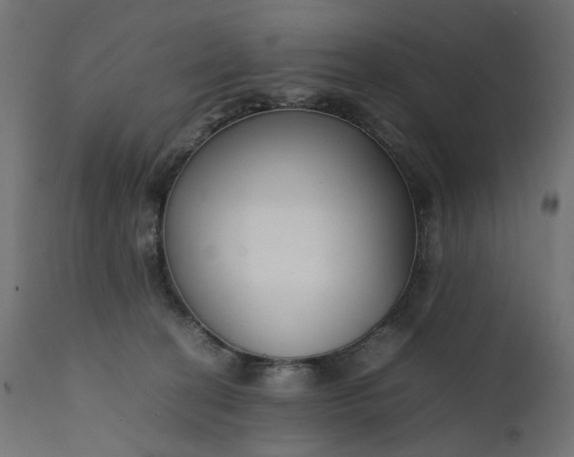 X0000111500274200907281258