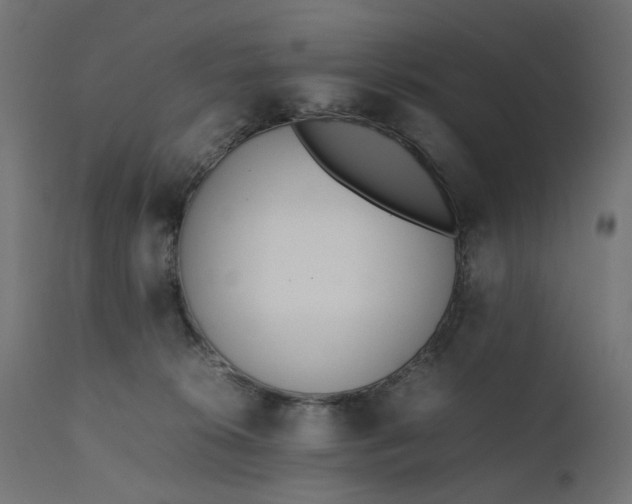 X0000111500276200907281258