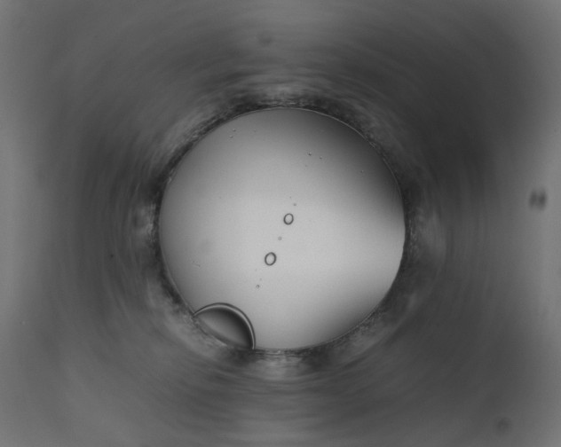 X0000111500278200907281258