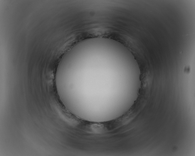 X0000111500279200907281258