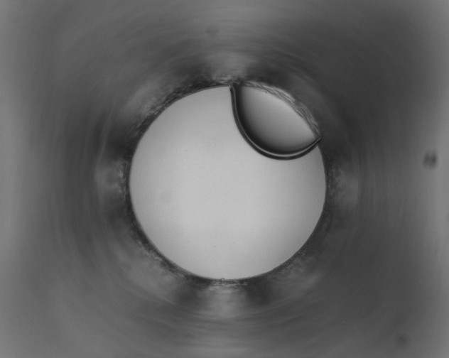 X0000111500280200907281258