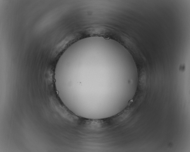 X0000111500282200907281259