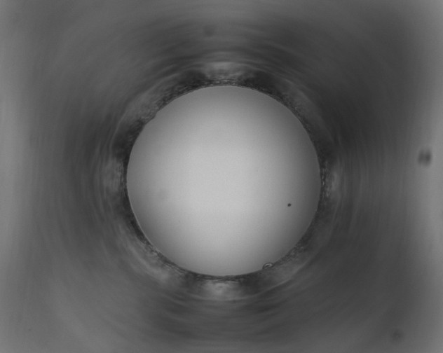 X0000111500283200907281259