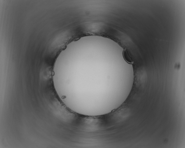 X0000111500284200907281259