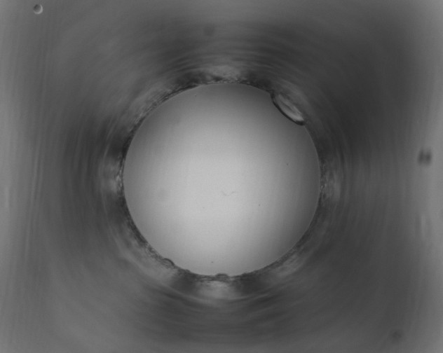 X0000111500285200907281259