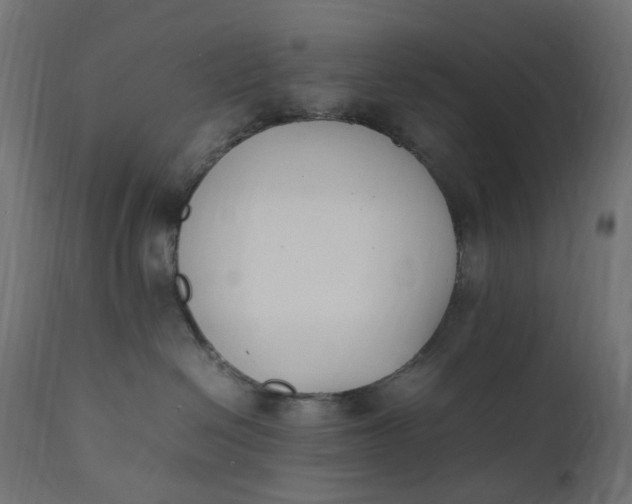 X0000111500286200907281259