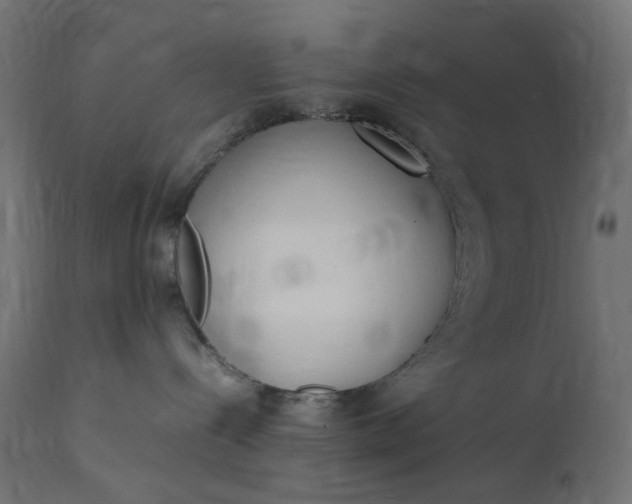 X0000111500288200907281259