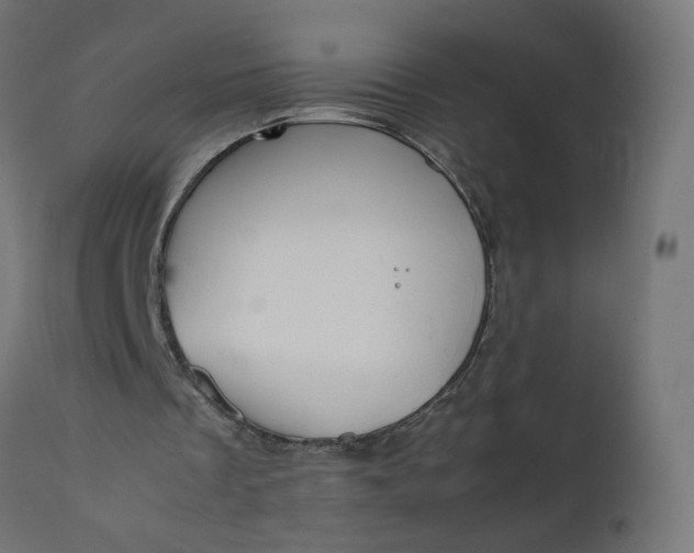 X0000111500289200907281258