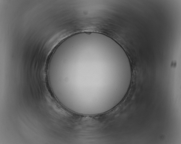 X0000111500290200907281258