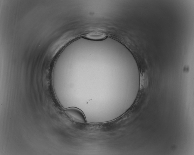 X0000111500291200907281258