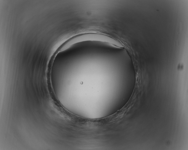 X0000111500292200907281258