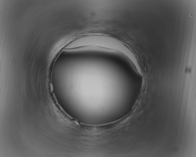 X0000111500293200907281258