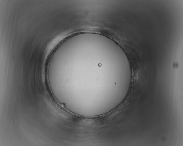 X0000111500294200907281258