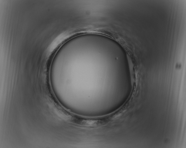 X0000111500295200907281258