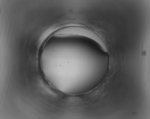 X0000111500296200907281258