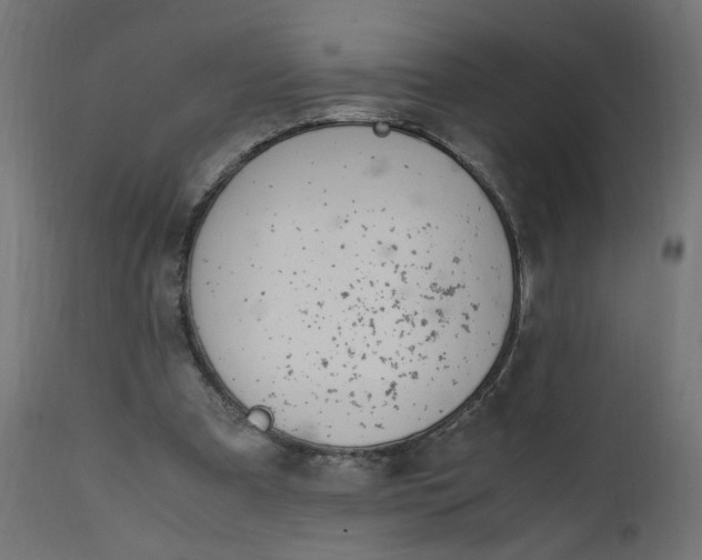 X0000111500297200907281258