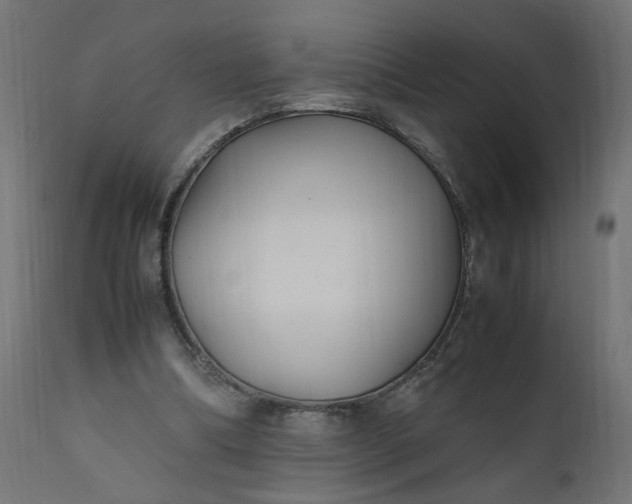 X0000111500298200907281258