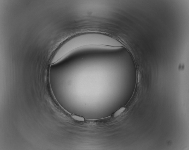 X0000111500301200907281258