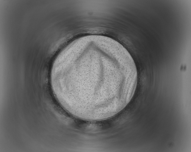 X0000111500303200907281258