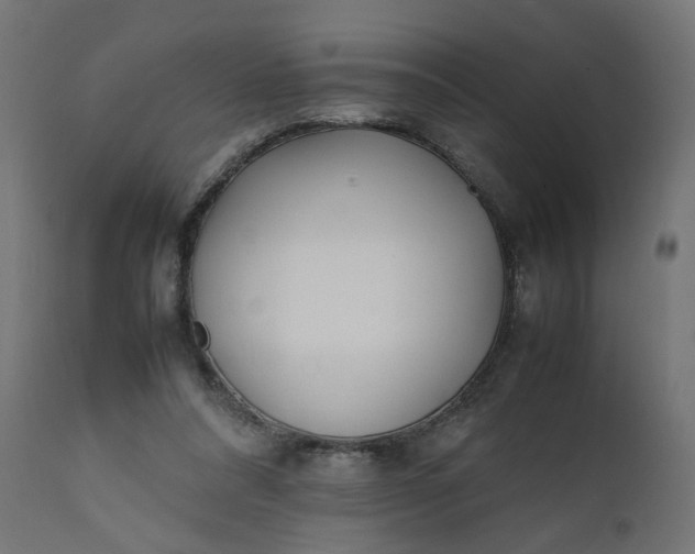 X0000111500304200907281258