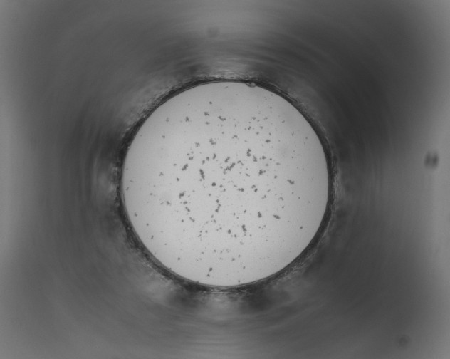 X0000111500305200907281258