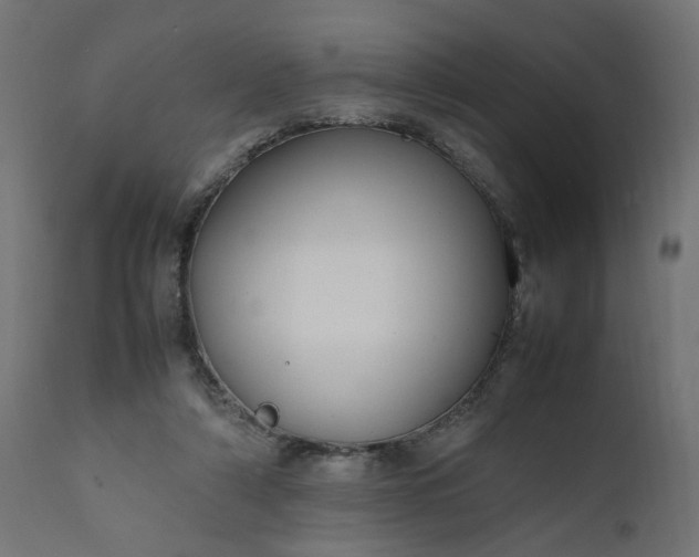 X0000111500306200907281258