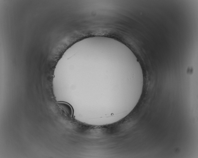 X0000111500307200907281258