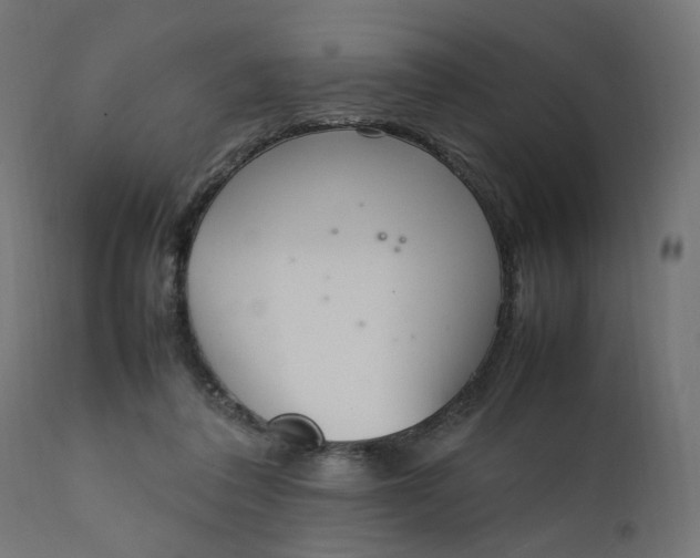 X0000111500308200907281258