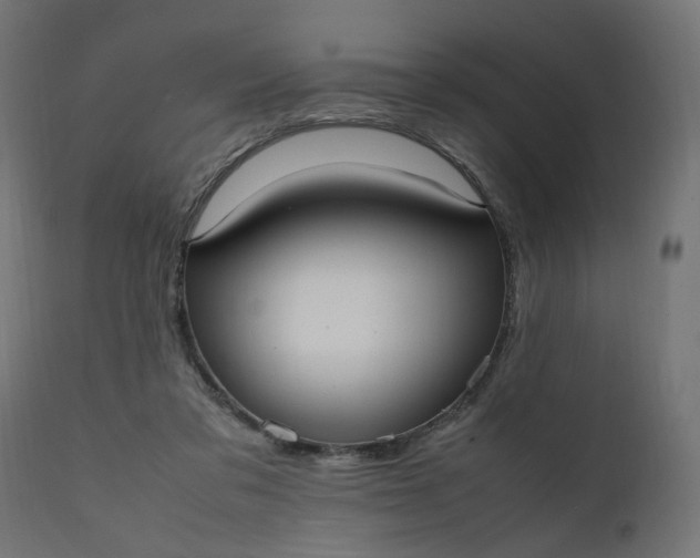 X0000111500309200907281258