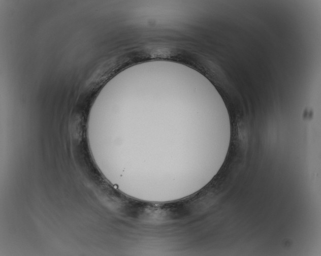 X0000111500311200907281258