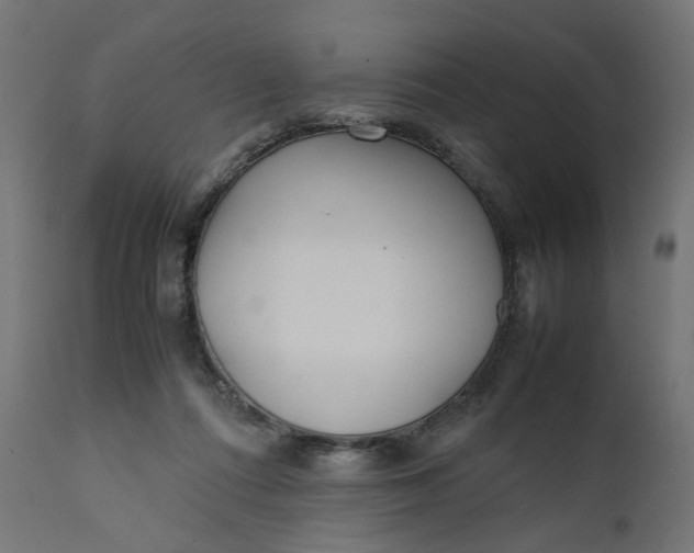 X0000111500312200907281258