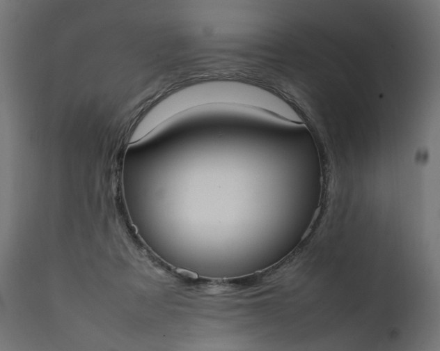 X0000111500313200907281258