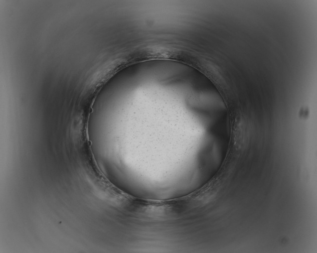 X0000111500314200907281258