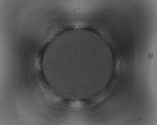 X0000111500316200907281258