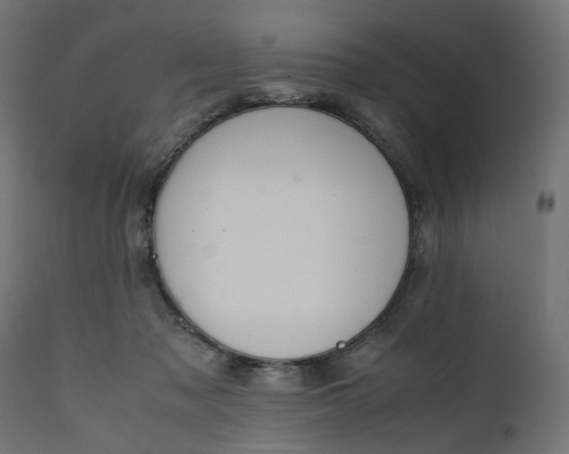 X0000111500317200907281258