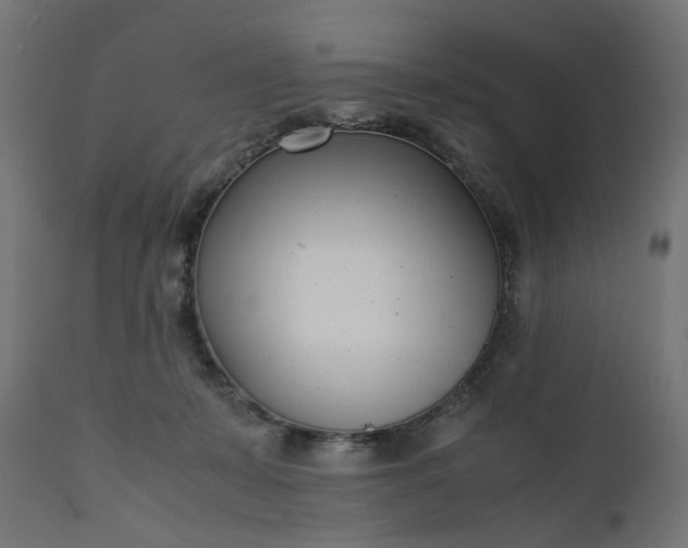 X0000111500319200907281258