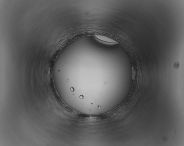 X0000111500320200907281258