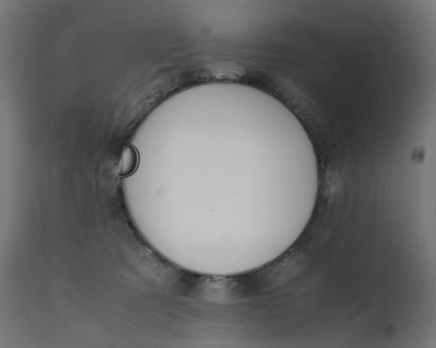 X0000111500321200907281258