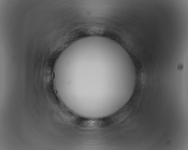 X0000111500323200907281257