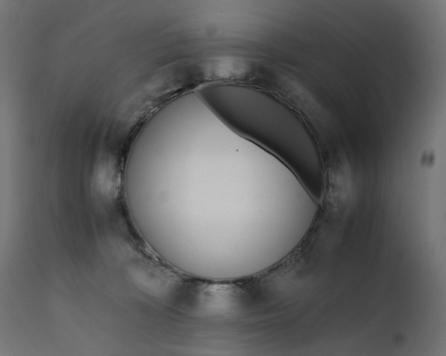 X0000111500324200907281257