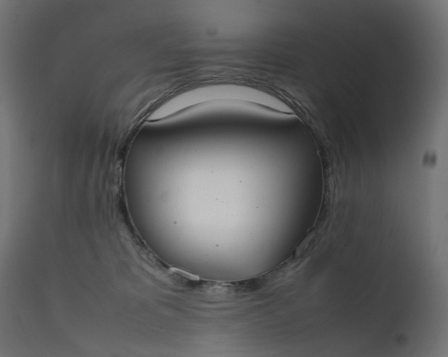 X0000111500325200907281257